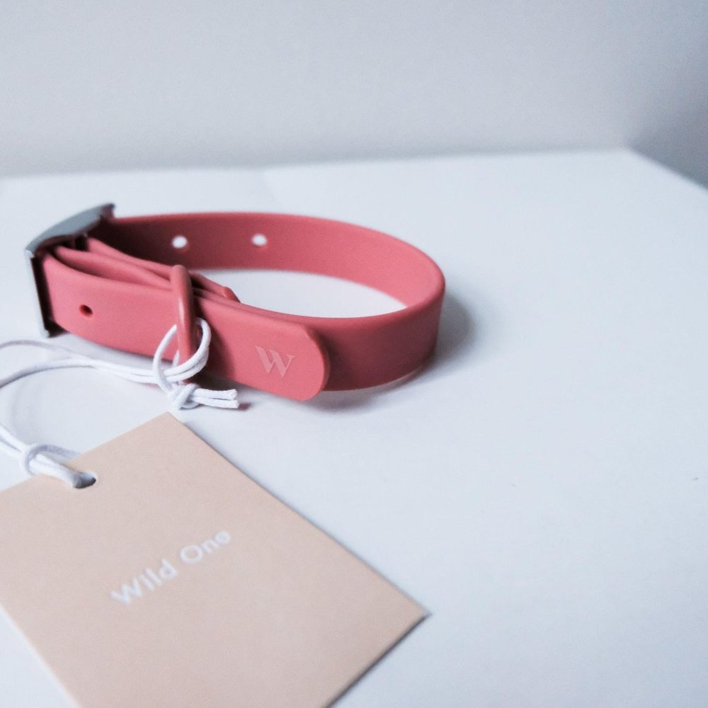 NWT Wild One Modern Dog Collar size small